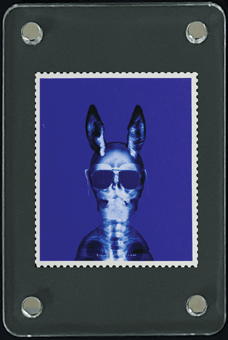 Framed Skull Portrait stamp arrangement three